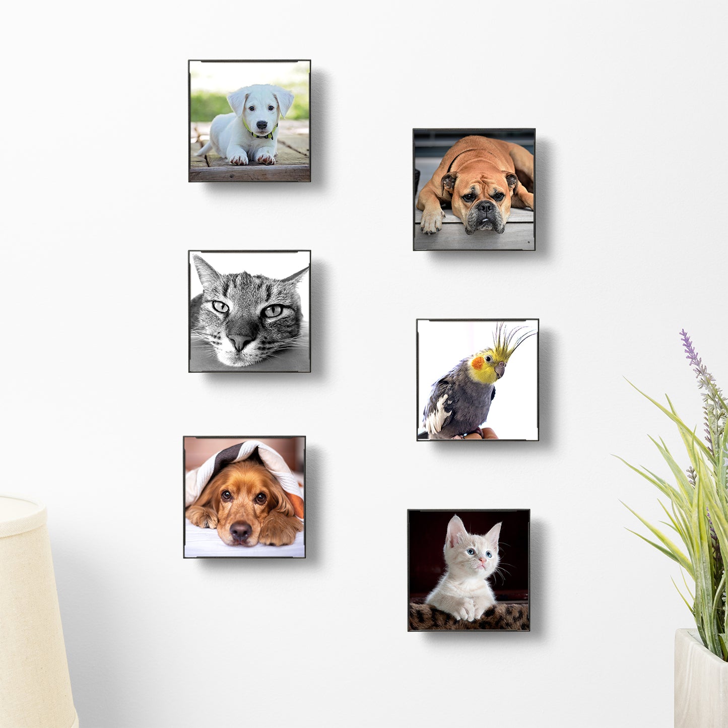 Realnique Black 4x4 Picture Frames [6 pack] Patented wall-mounted socket enables quick frame changing, rotating, and floating off-wall appearance. Front loading square photo frames.